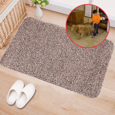 Covor absorbant pentru intrare antimurdarie Clean Master